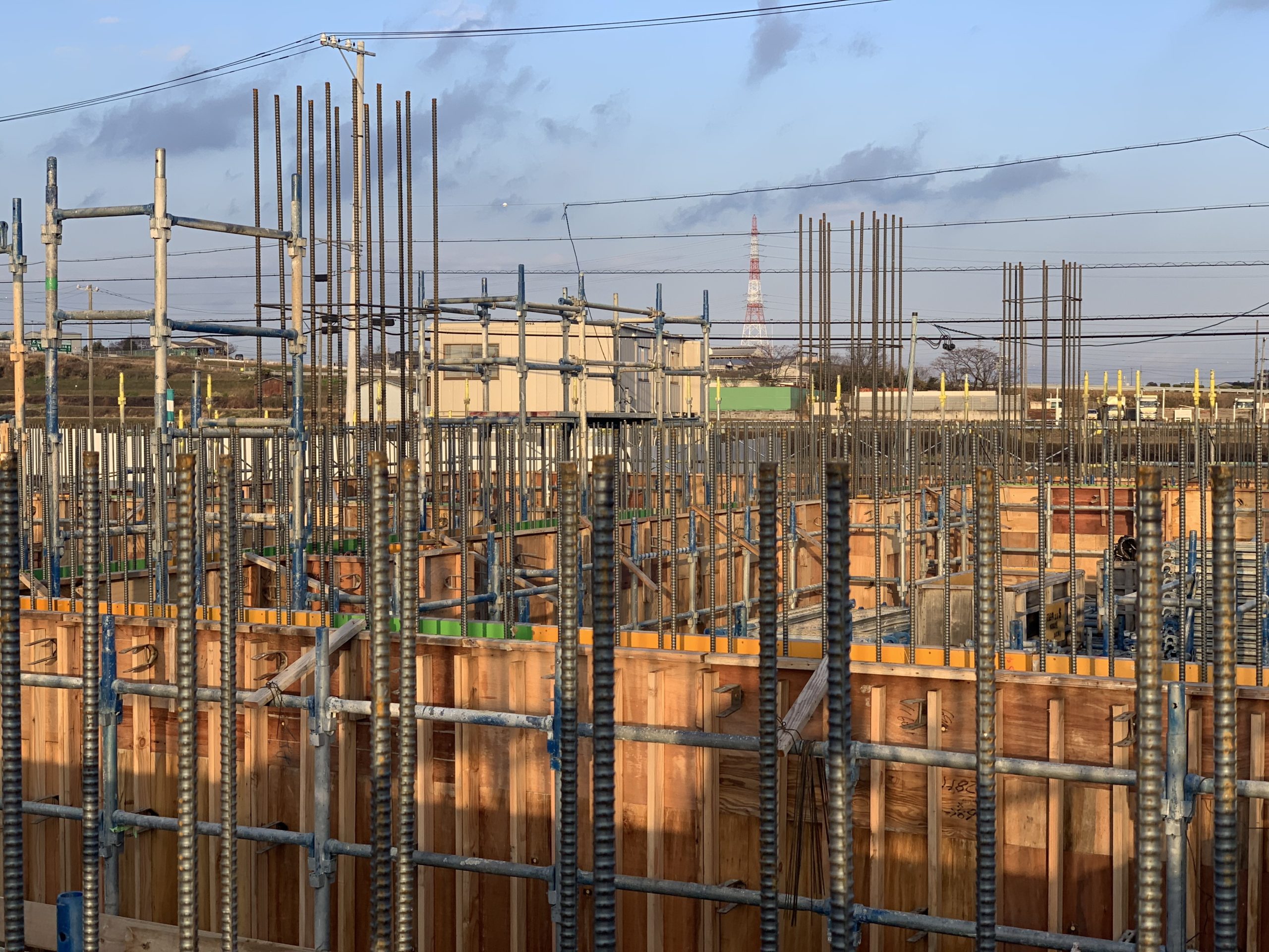 今日は寒かった～