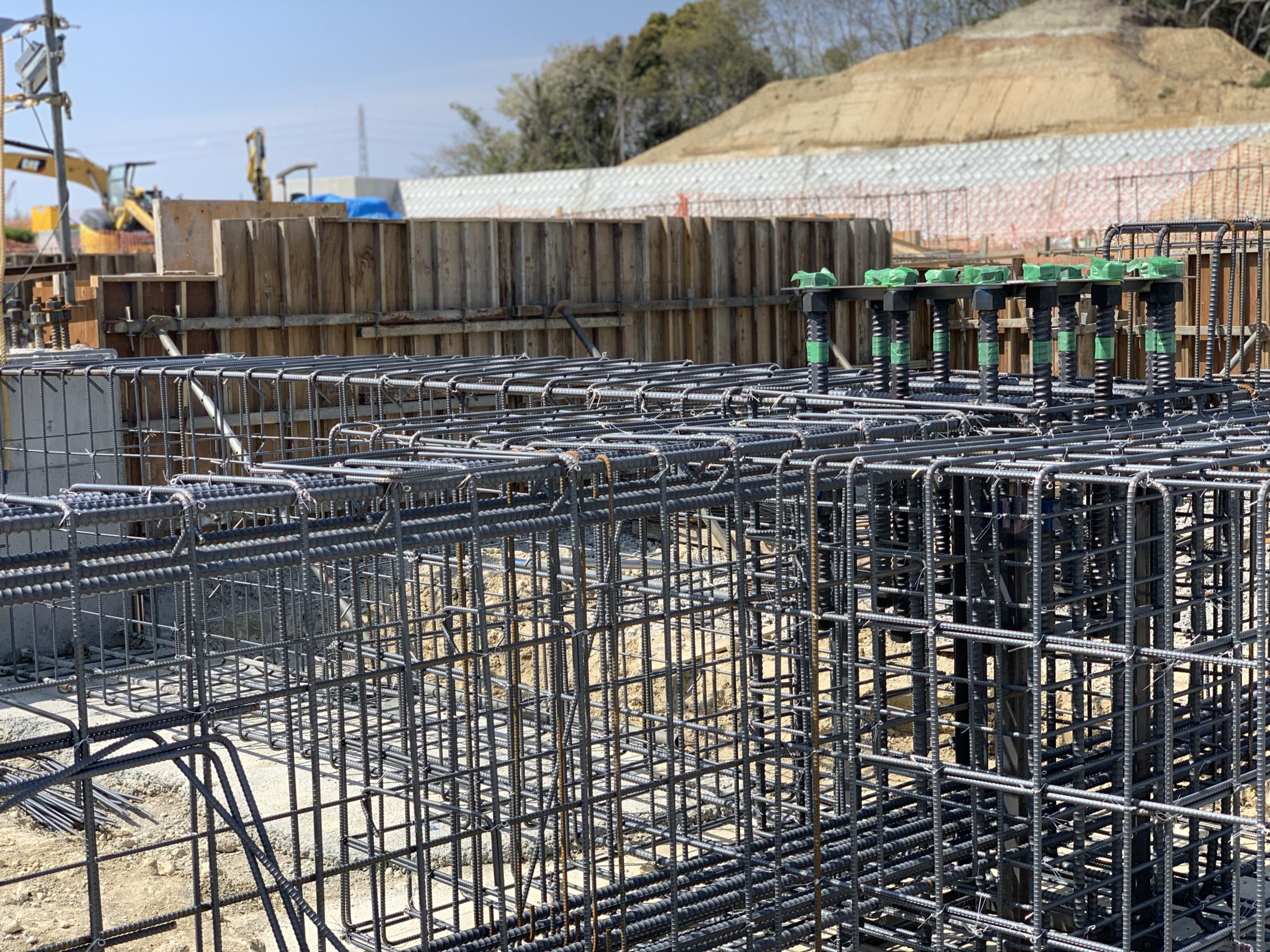 ビオクラシックス半田